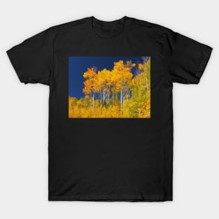 Golden Aspen Trees T-Shirt
